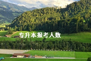 报考专科(初中报考专科)