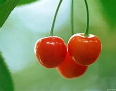 半圆形面积公式(半圆形面积公式是) 半圆形面积公式(半圆形面积公式是)