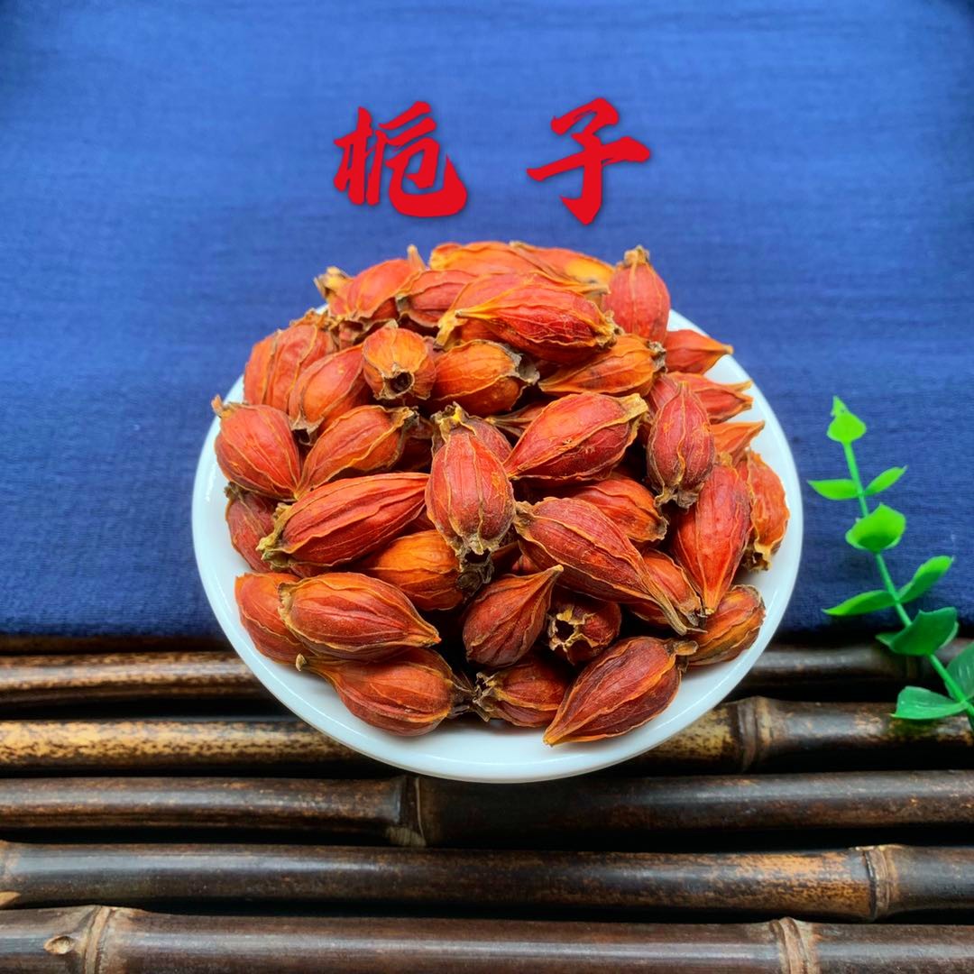 栀子仁(栀子仁图片)