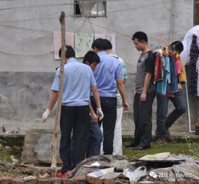 朱红凌(朱红凌百科)