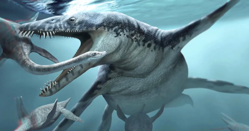 海底怪物(日本海底怪物)