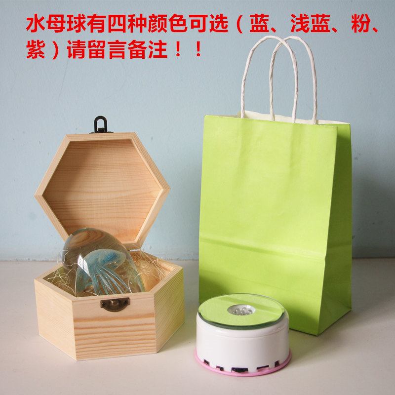 盒水母(盒水母图片)