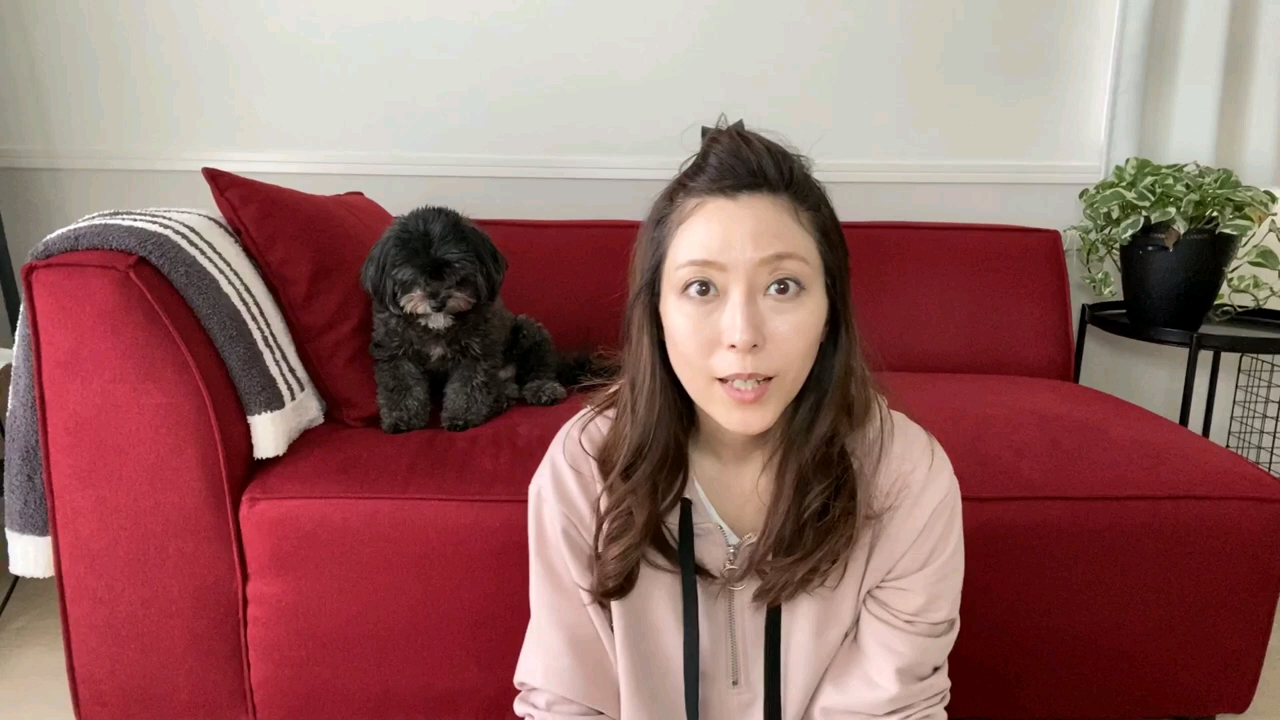 白木优子的简单介绍