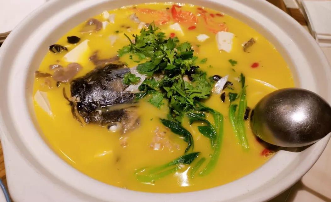 鲶鱼汤(鲶鱼汤的做法大全家常)